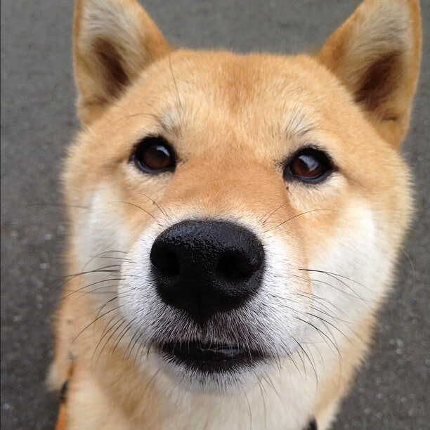 蓝月锋芒与乌克兰杀手，当曼城的完胜遇上莱万的统治级表演