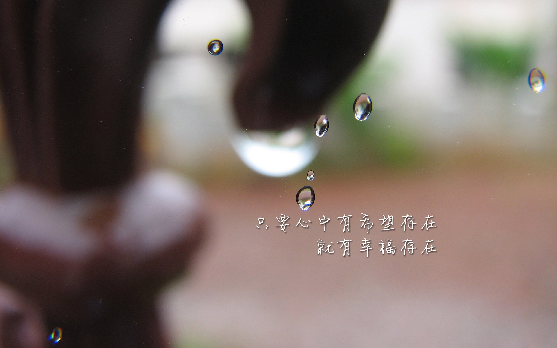 吉林外援彼得森，当约基奇闪耀时，我在对抗快船的影子