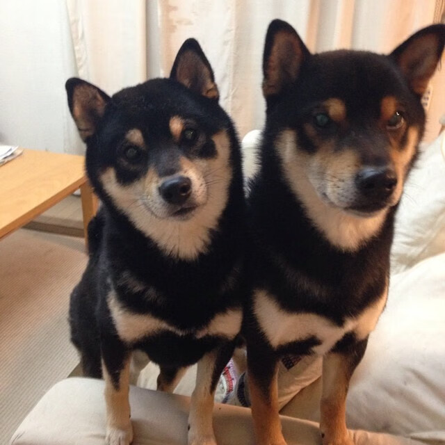 黄金一代的团队碾压与迟暮王者的孤勇交响—一场大胜映照足球哲学的永恒辩题