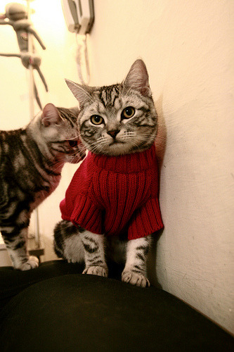 足球魔法夜，戈麦斯爆发，摩纳哥竟打穿尼日利亚防线