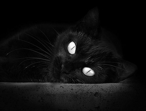 迟来的执剑人，德罗赞撕碎质疑，尼克斯踏过老鹰