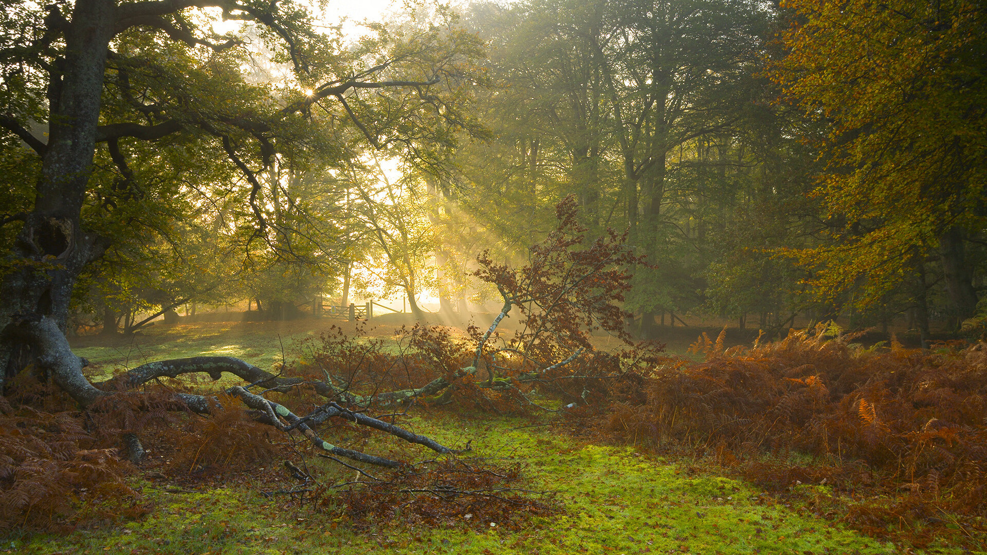 F1年度争冠之夜的唯一性，凯恩如何带动全队节奏