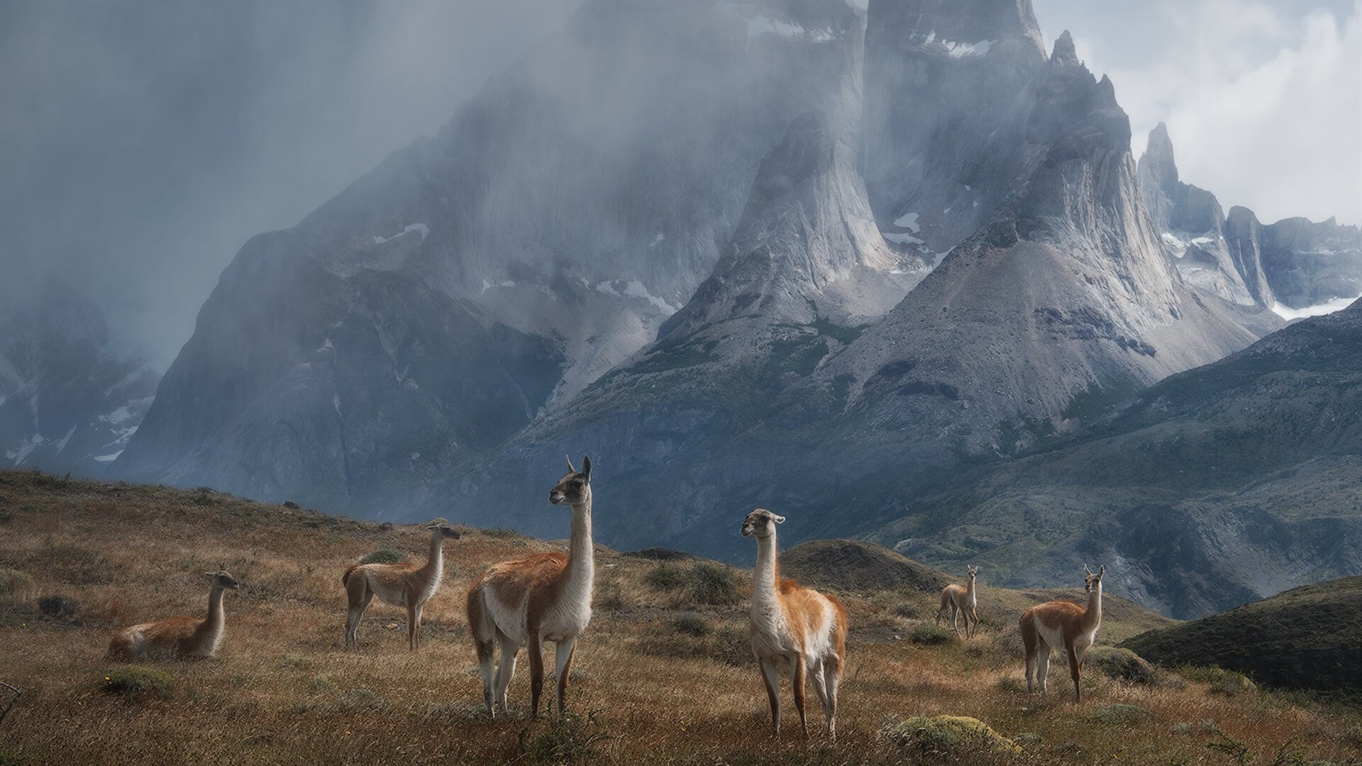 镌刻永恒荣光，斯通斯关键时刻如何定义NBA总决赛之夜