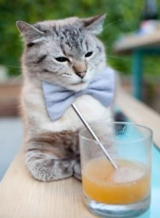 星条旗猎猎,当美国足球的黄金一代用横扫宣言改写2026世界杯H组生死局